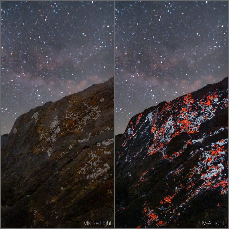 Side-by-side view of a lichen-covered rock face beneath the Milky Way: muted in visible light, glowing orange and white under UV-A light.