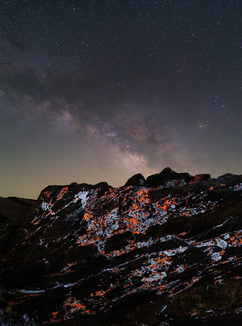 Orange and white lichen fluorescing in patches across a bare rock face beneath the Milky Way.